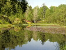 scottish golf tours
